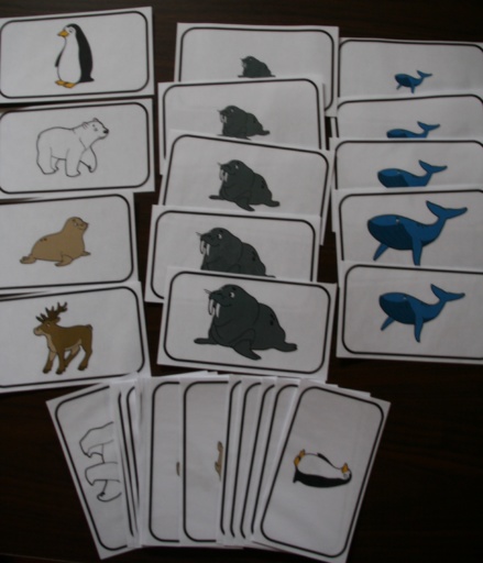 Les animaux polaires (Grand Nord)